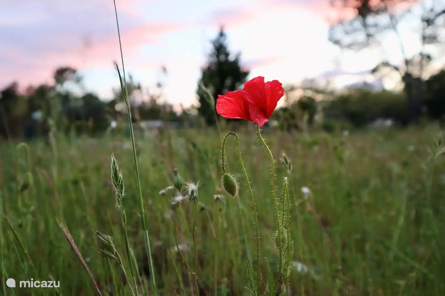 Une nature magnifique dans et autour du parc.