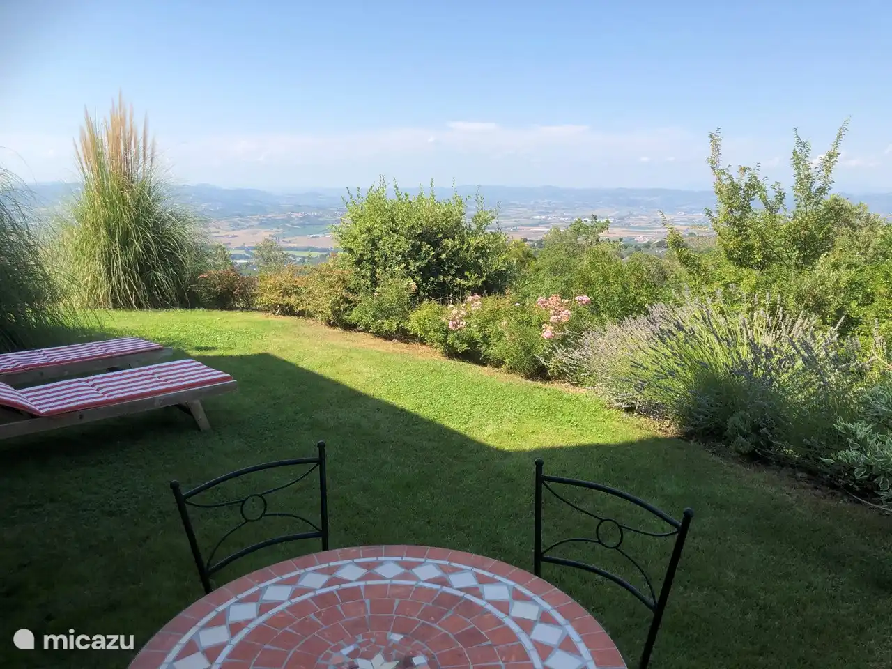 Champ d'herbe de Cappuccino