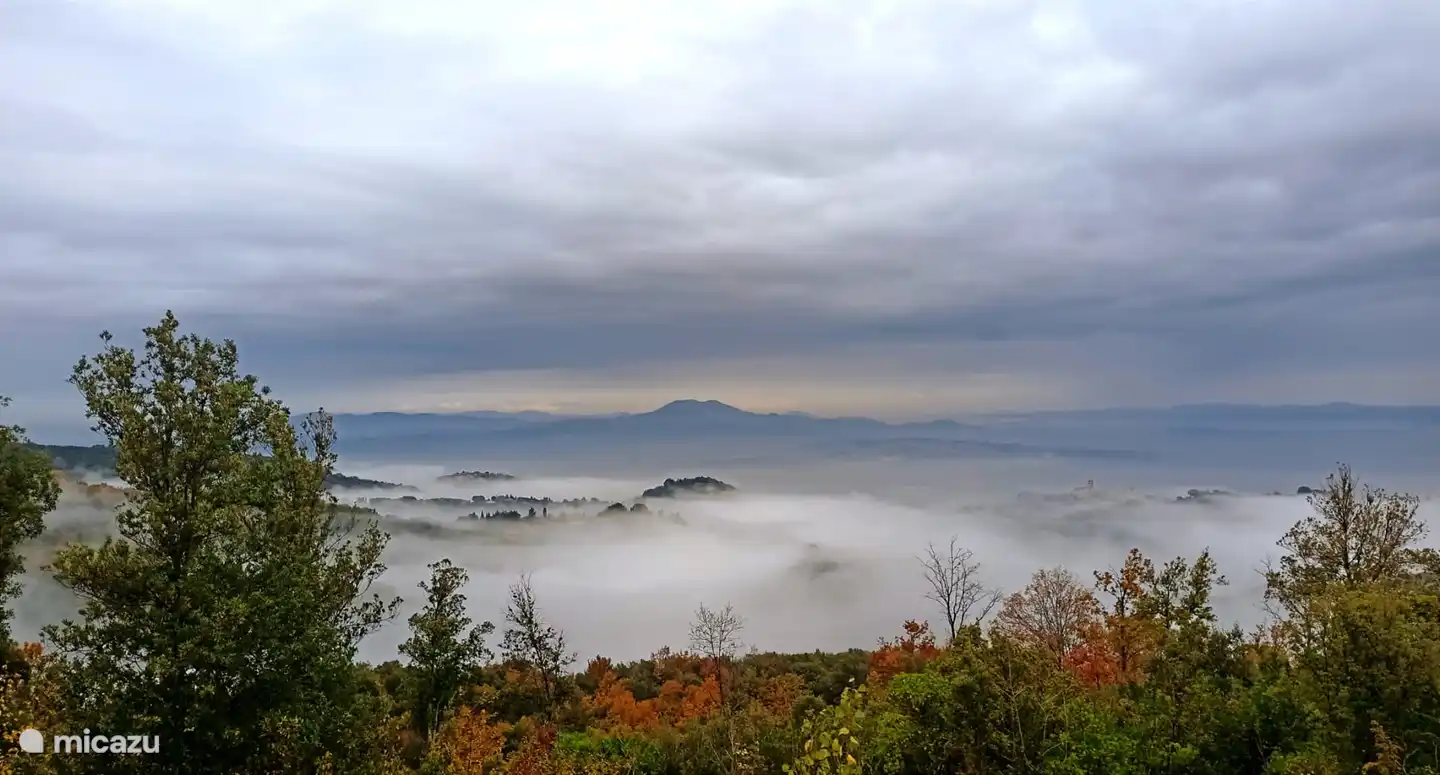 Vue du jardin : brume matinale en automne