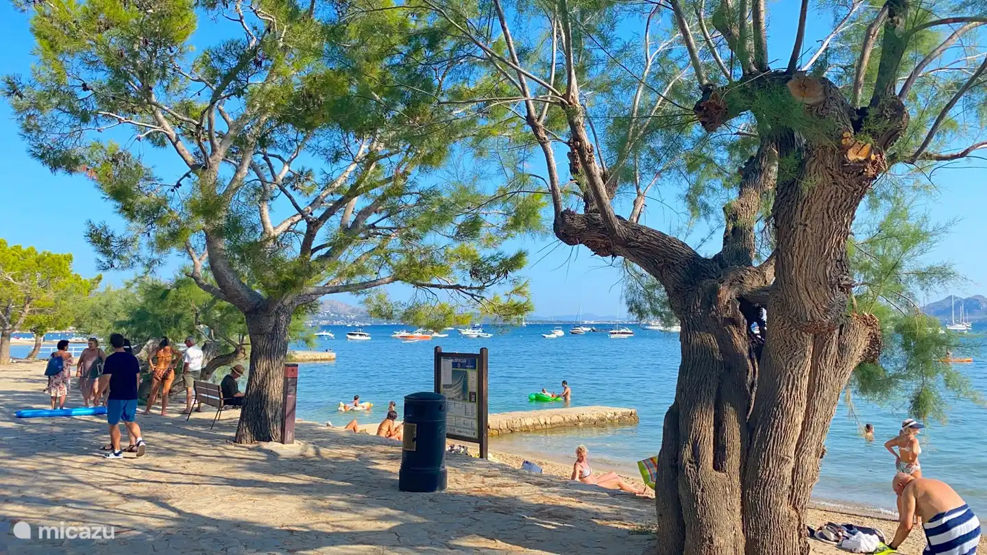 Famoso Paseo de los Pinos de Puerto Pollensa. Playa y piscina a 50 metros del apartamento.
