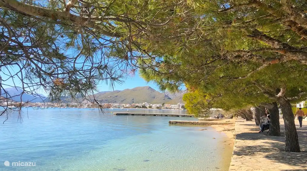Famoso Paseo de los Pinos de Puerto Pollensa. Playa y piscina a 50 metros del apartamento.