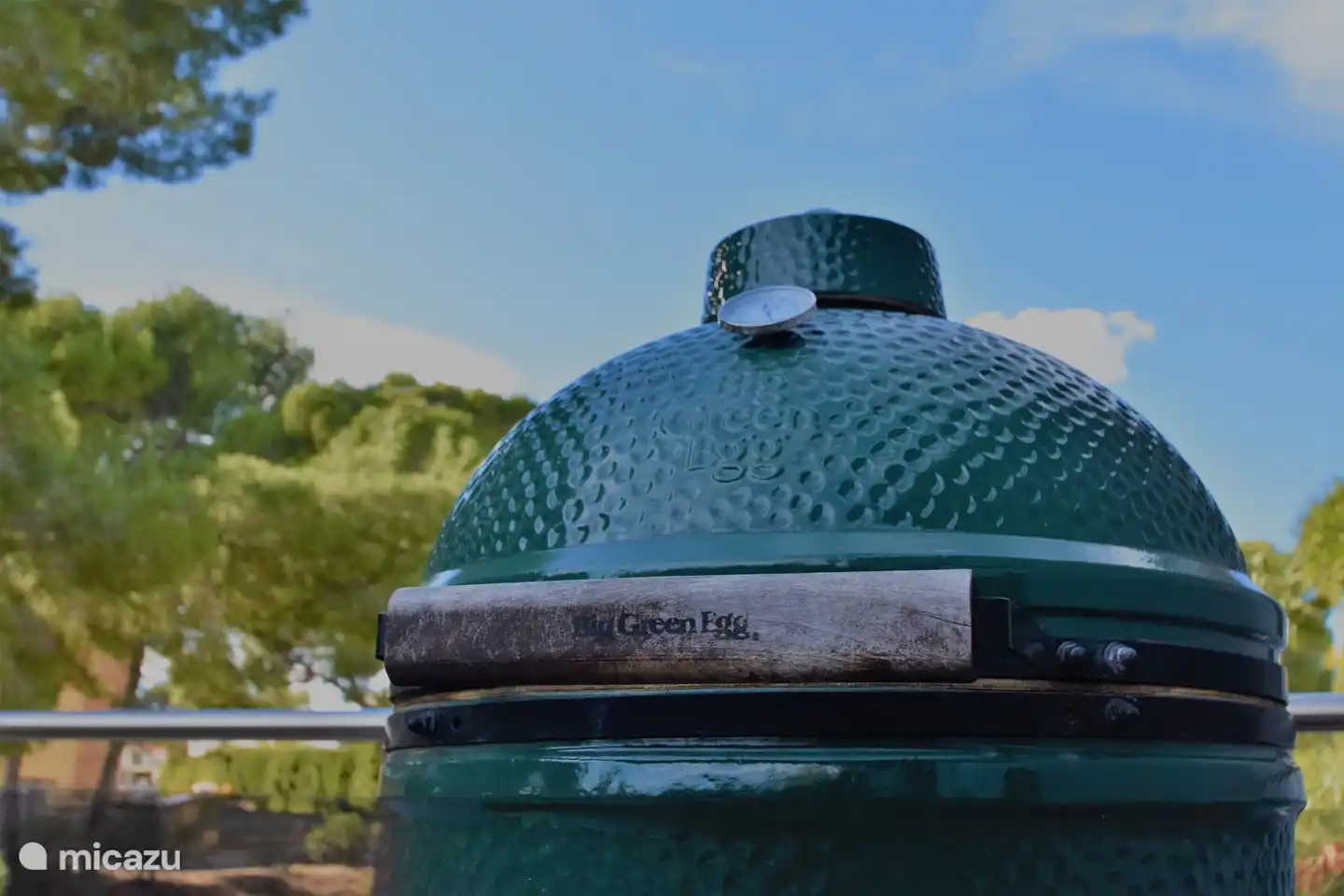 Deliciosa barbacoa o para hacer todo tipo de platos.