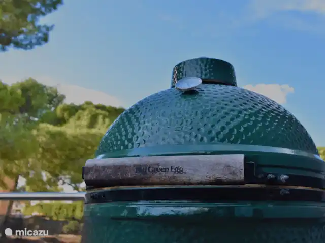 La Guinda del Pastel | Espagne, Costa Blanca, Benidorm - villa Délicieux BBQ ou pour faire toutes sortes d'autres plats.