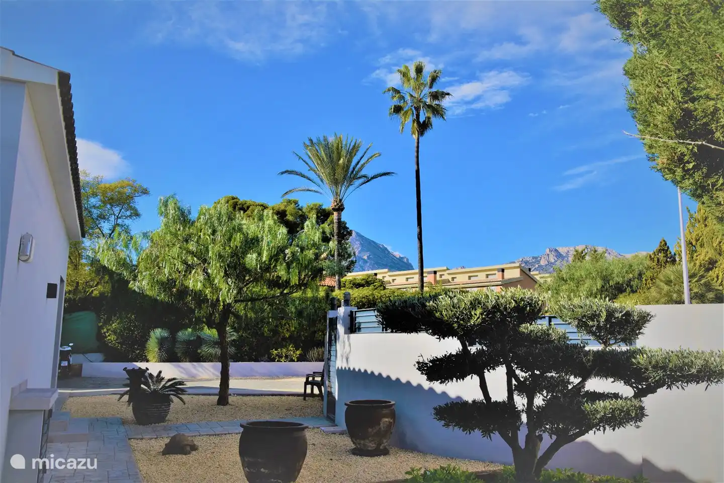 Frente al jardín y la casa.