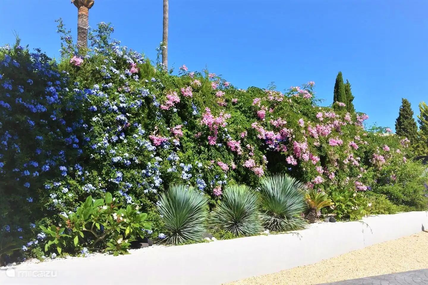 Jardín al costado de la entrada