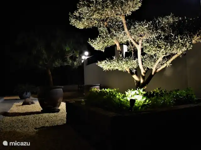 La Guinda del Pastel | Espagne, Costa Blanca, Benidorm - villa Olivier illuminé.