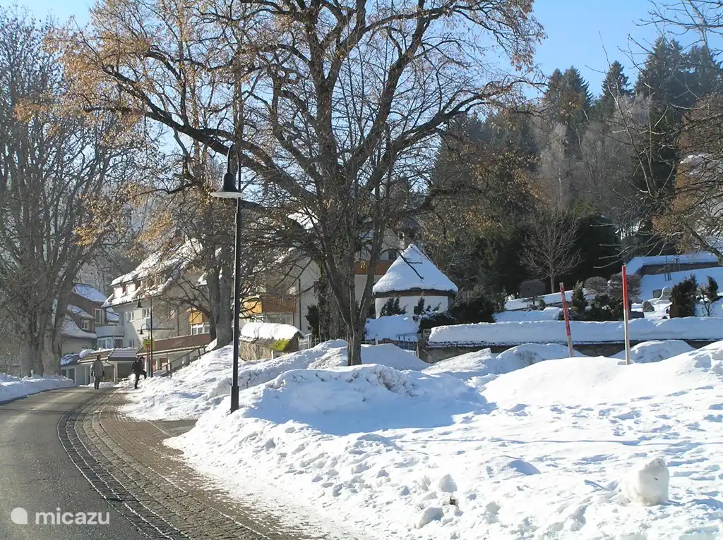 Rent Haus Vor Anker In Feldberg Black Forest Micazu