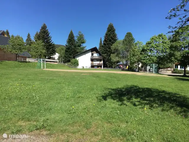 Haus vor Anker | Allemagne, Forêt-Noire , Feldberg - maison de vacances