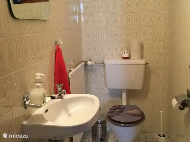 Haus vor Anker | Allemagne, Forêt-Noire , Feldberg - maison de vacances