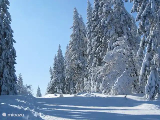 Haus vor Anker | Allemagne, Forêt-Noire , Feldberg - maison de vacances Forêt Noire de Feldberg