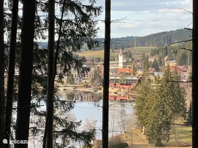 Haus vor Anker | Allemagne, Forêt-Noire , Feldberg - maison de vacances