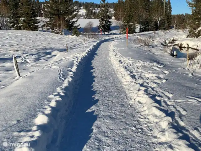 Haus vor Anker | Allemagne, Forêt-Noire , Feldberg - maison de vacances