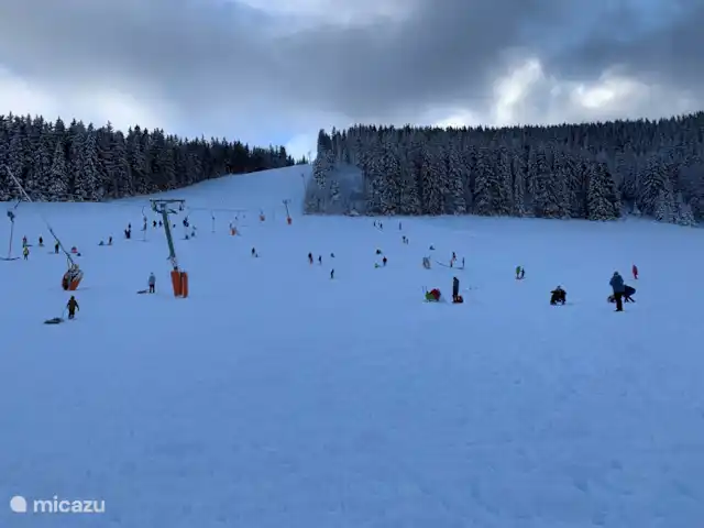 Haus vor Anker | Allemagne, Forêt-Noire , Feldberg - maison de vacances