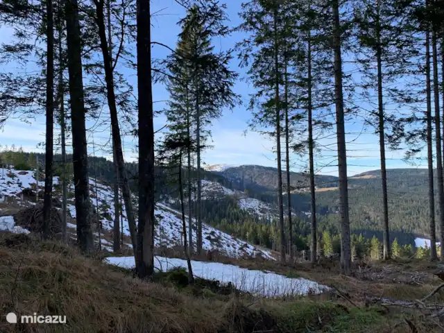 Haus vor Anker | Allemagne, Forêt-Noire , Feldberg - maison de vacances