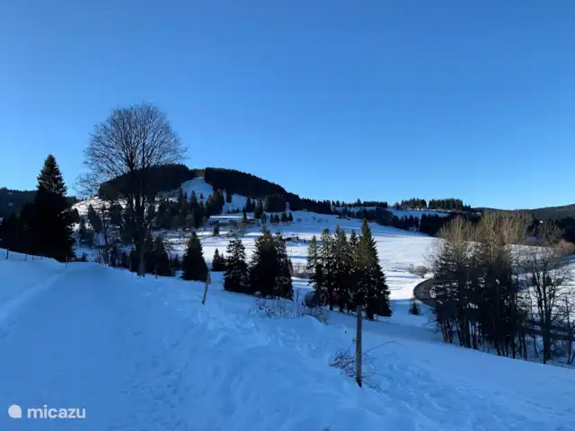 Haus vor Anker | Allemagne, Forêt-Noire , Feldberg - maison de vacances