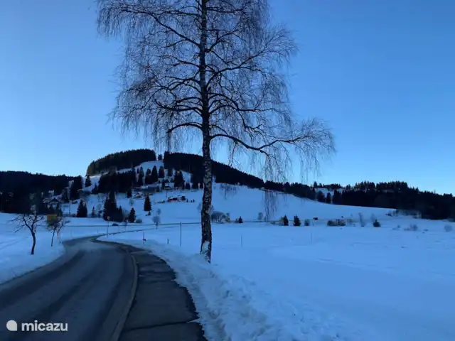 Haus vor Anker | Allemagne, Forêt-Noire , Feldberg - maison de vacances