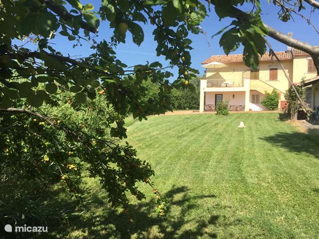 Holiday home in Italy, Marche, Loretello - villa Marche Villa San Vitale Sotto 4-6 p