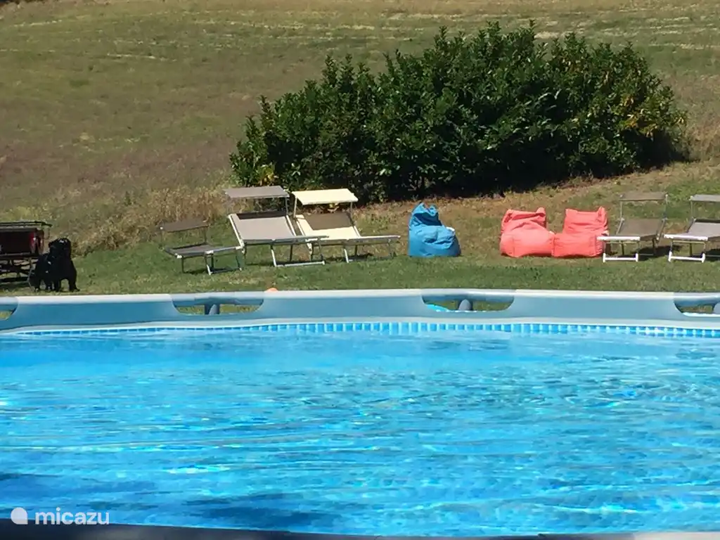 Nehmen Sie ein Sonnenbad und entspannen Sie sich auf bequeme Betten