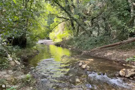 Environnement