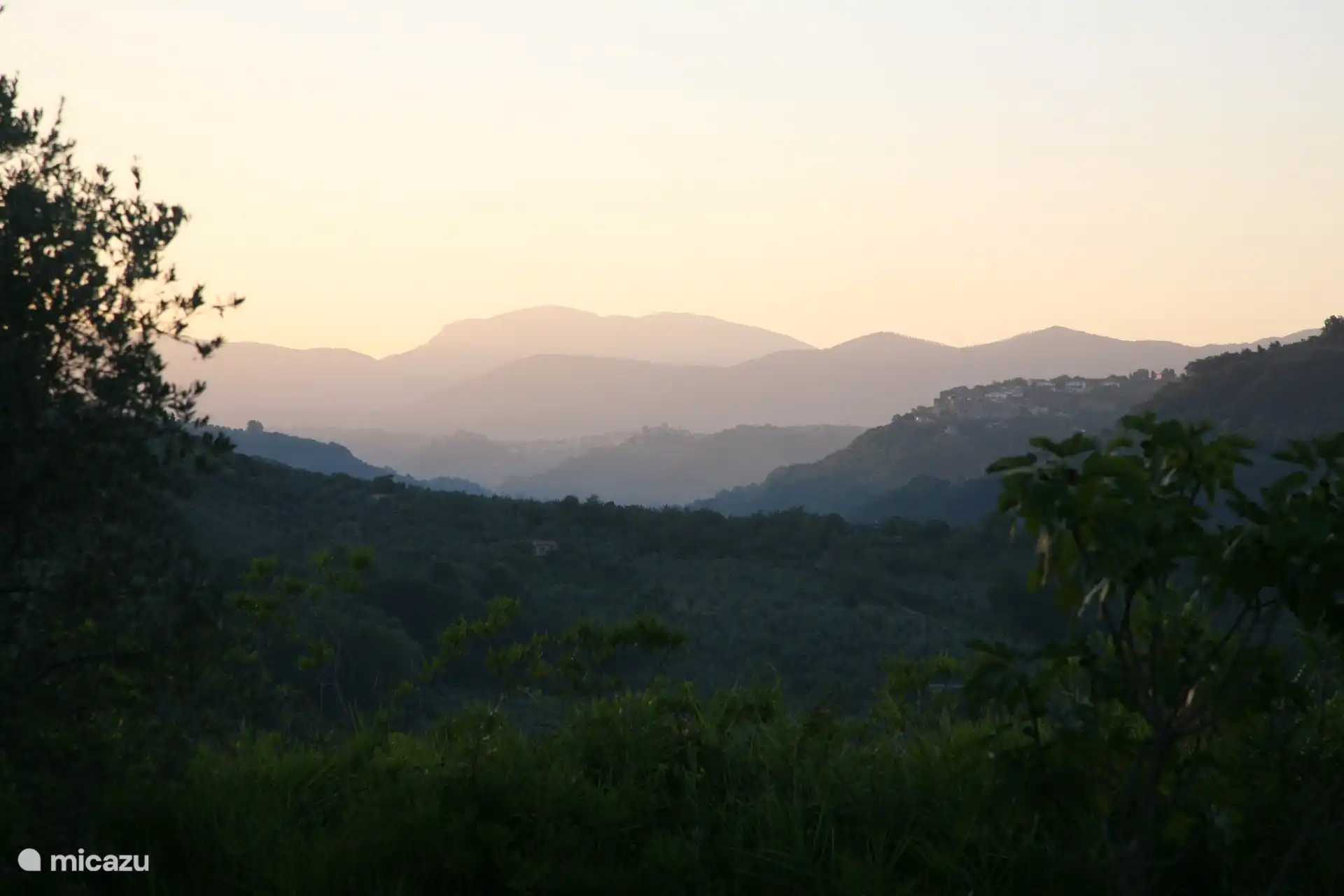 The view early in the morning