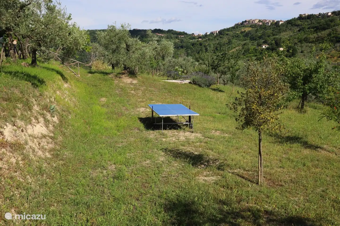View on the lower part of the property with table tennis table and fourth terrace
