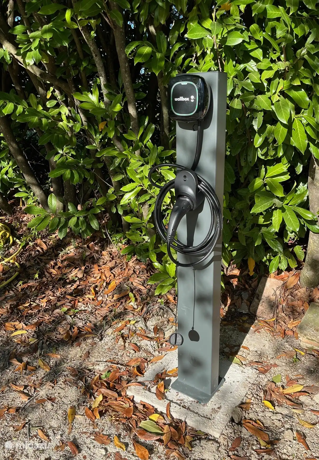 Solar panels and availability of charging station, 
free for your electric or hybrid car 