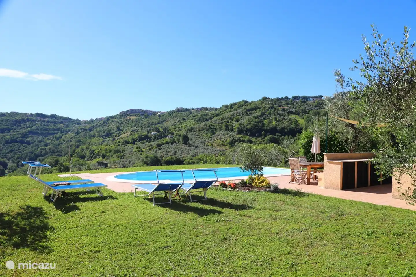 Garden with lawn, terrace by the pool and outdoor kitchen