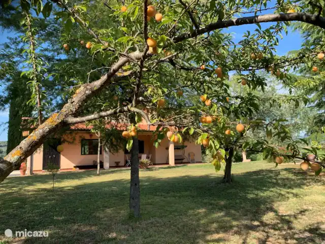 Villa Sabine | Italie, Le Latium, Castelnuovo di Farfa - villa Jardin avec divers arbres fruitiers