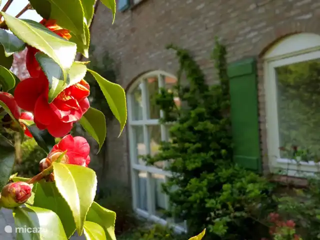 Duinhuis Marilou huren in Nederland, Zeeland, Burgh-Haamstede - vakantiehuis
