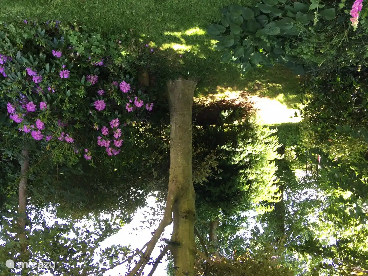 Prachtige, grote tuin. Voor wie van mooie bloemen en struiken houdt, maar ook van voetballen of schommelen.