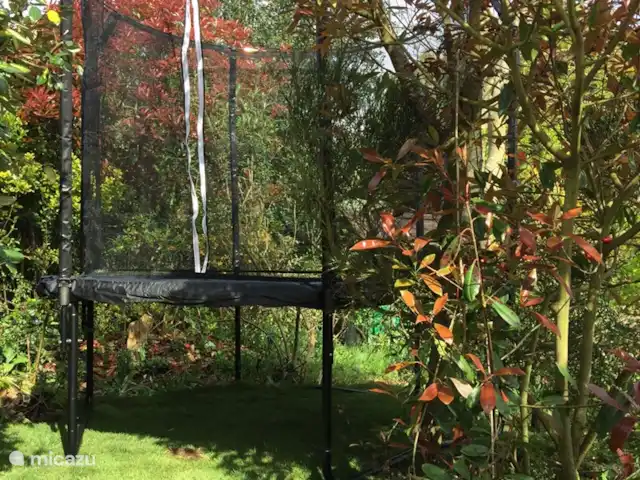 Duinhuis Marilou huren in Nederland, Zeeland, Burgh-Haamstede - vakantiehuis Voor onze jonge gasten staat een trampoline midden in het groen klaar.