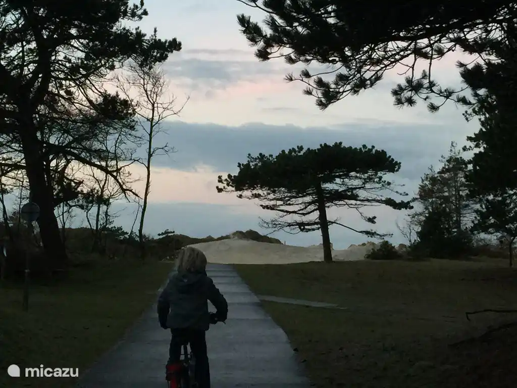 Ochtend in het duingebied achter ons huis. Zo prachtig!