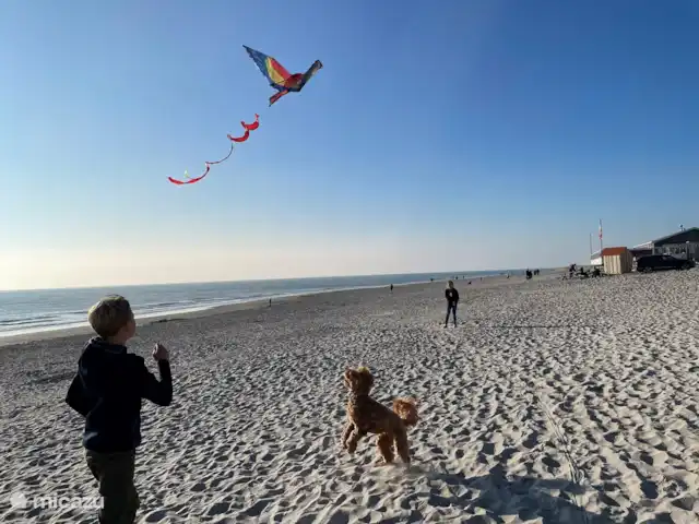 Duinhuis Marilou huren in Nederland, Zeeland, Burgh-Haamstede - vakantiehuis