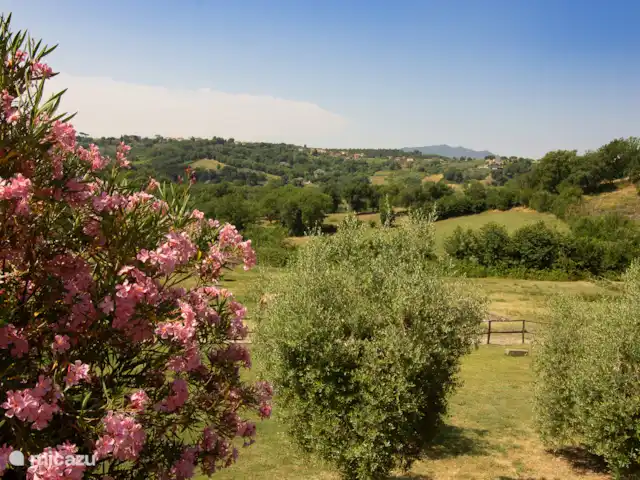 Le Casale delle Rose | Italie, Le Latium, Tarano - villa