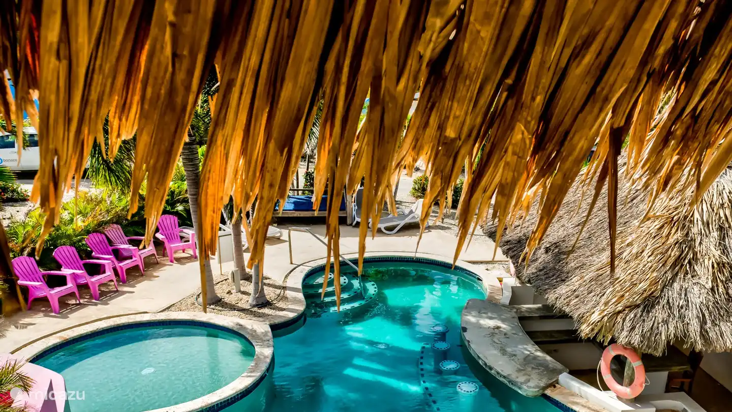 View over the pool from the waterfall