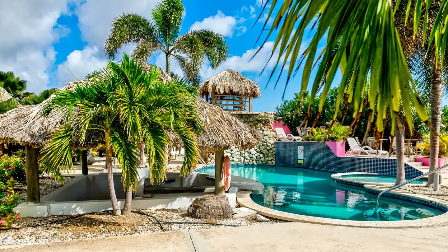 Overview of the pool