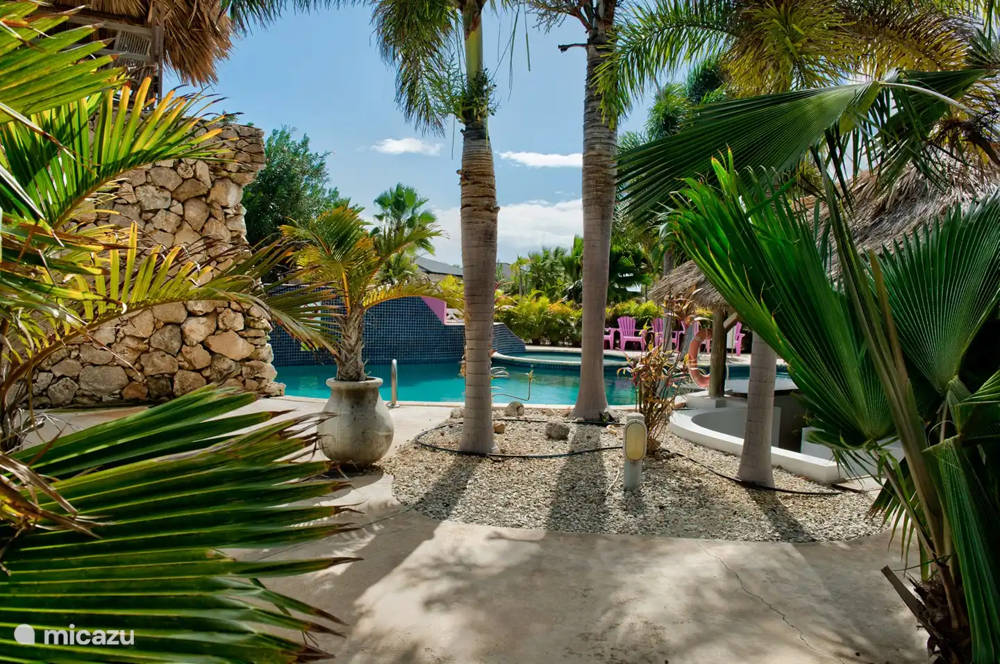 Overview of the pool