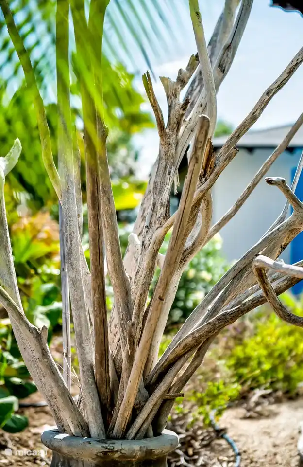 A villa with atmosphere