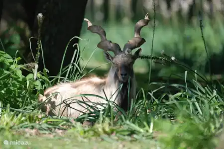 Il y a beaucoup à voir dans la région