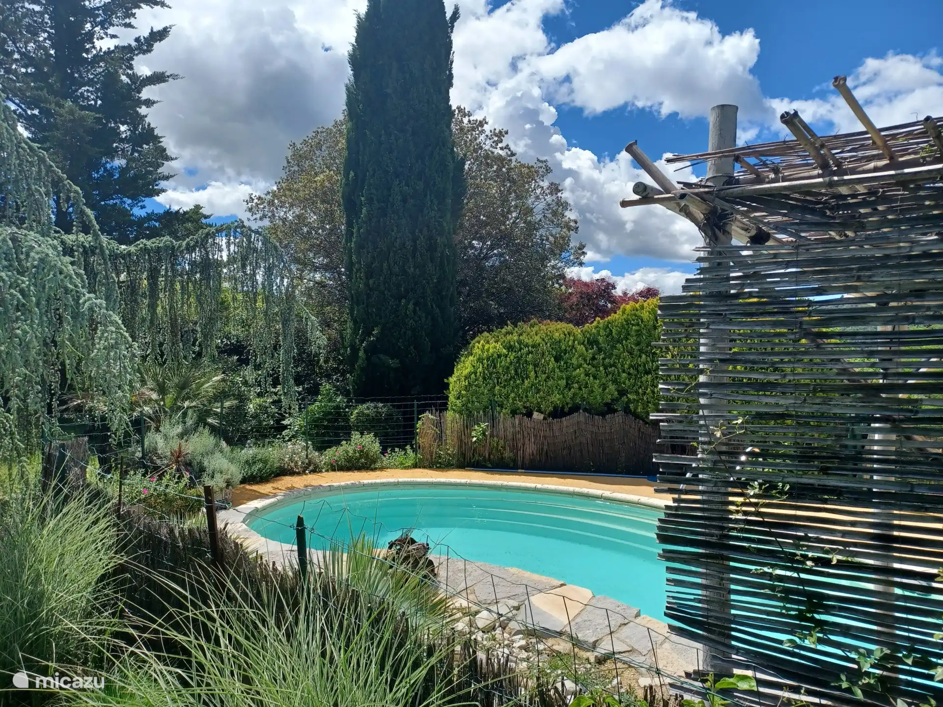 swimming pool garden