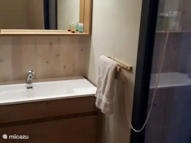 Location de Vacances France, Gard, Anduze, bungalow - Anduze Douche à la chambre principale