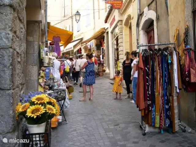 Location de Vacances France, Gard, Anduze, bungalow - Anduze rue commerçante d'Anduze