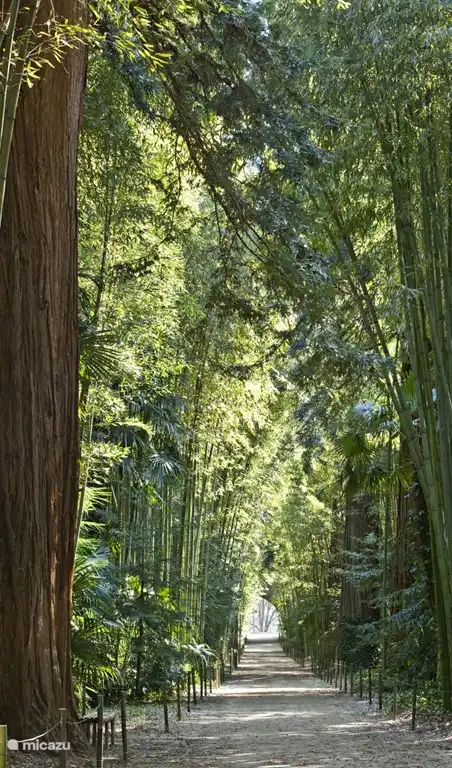 Bambouseraie - Anduze, Europas größter Bambuspark