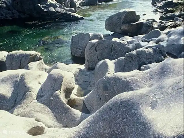 Location de Vacances France, Gard, Anduze, bungalow - Anduze Le jardin