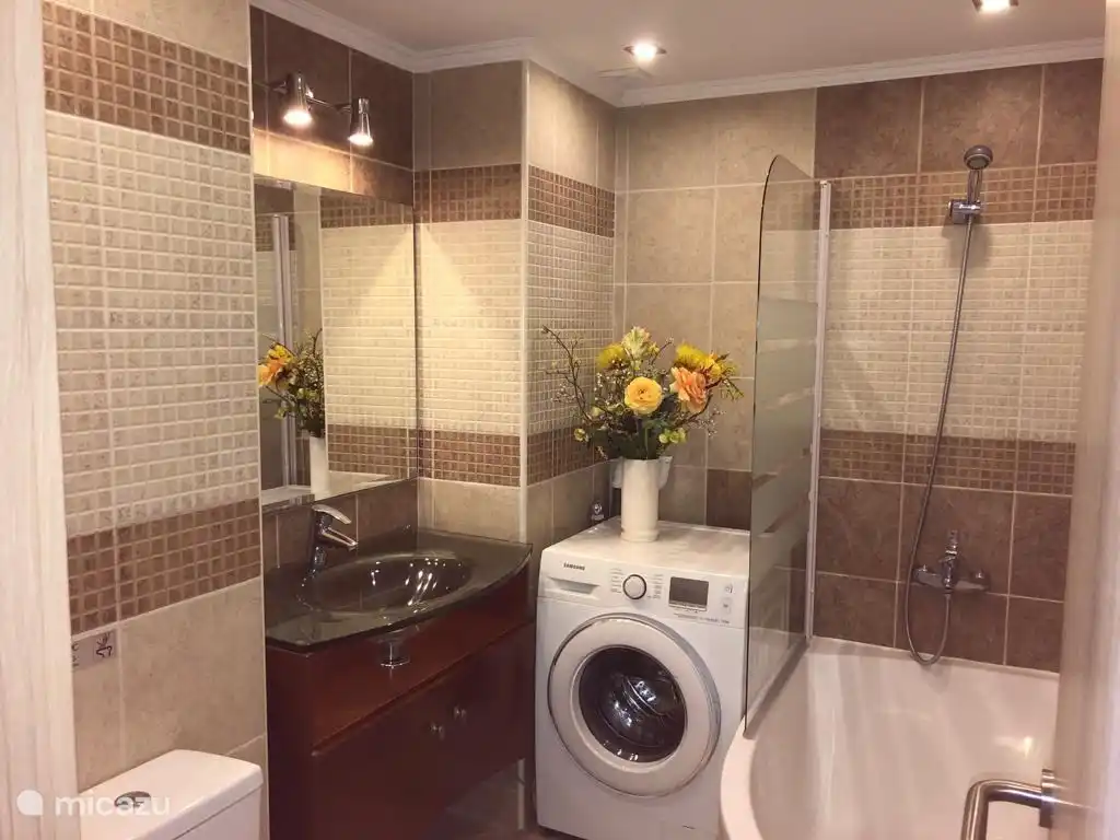 Badezimmer mit Wanne und Dusche. Glas sinken. In der Box ist ein Haartrockner. WC. Die Waschmaschine ist für Sie bereit.