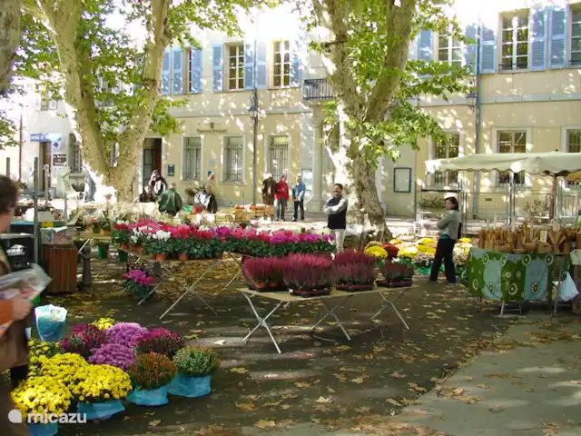 Villa les Roses | France, Var, Aups - villa Marché à Aups