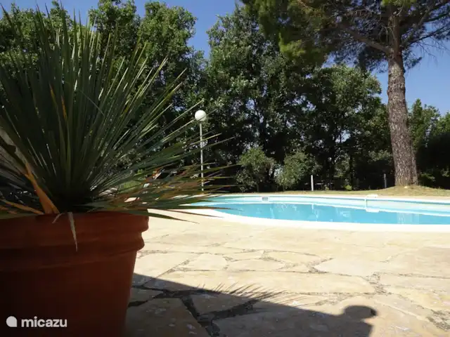 Villa les Roses | France, Var, Aups - villa piscine