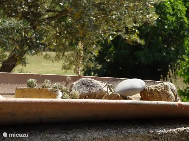 Villa les Roses | France, Var, Aups - villa Nature morte