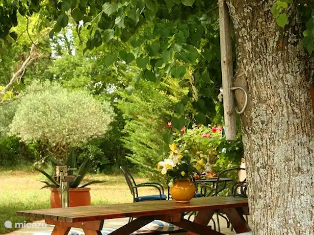 Villa les Roses | France, Var, Aups - villa Délicieux petit-déjeuner, déjeuner ou dîner en plein air