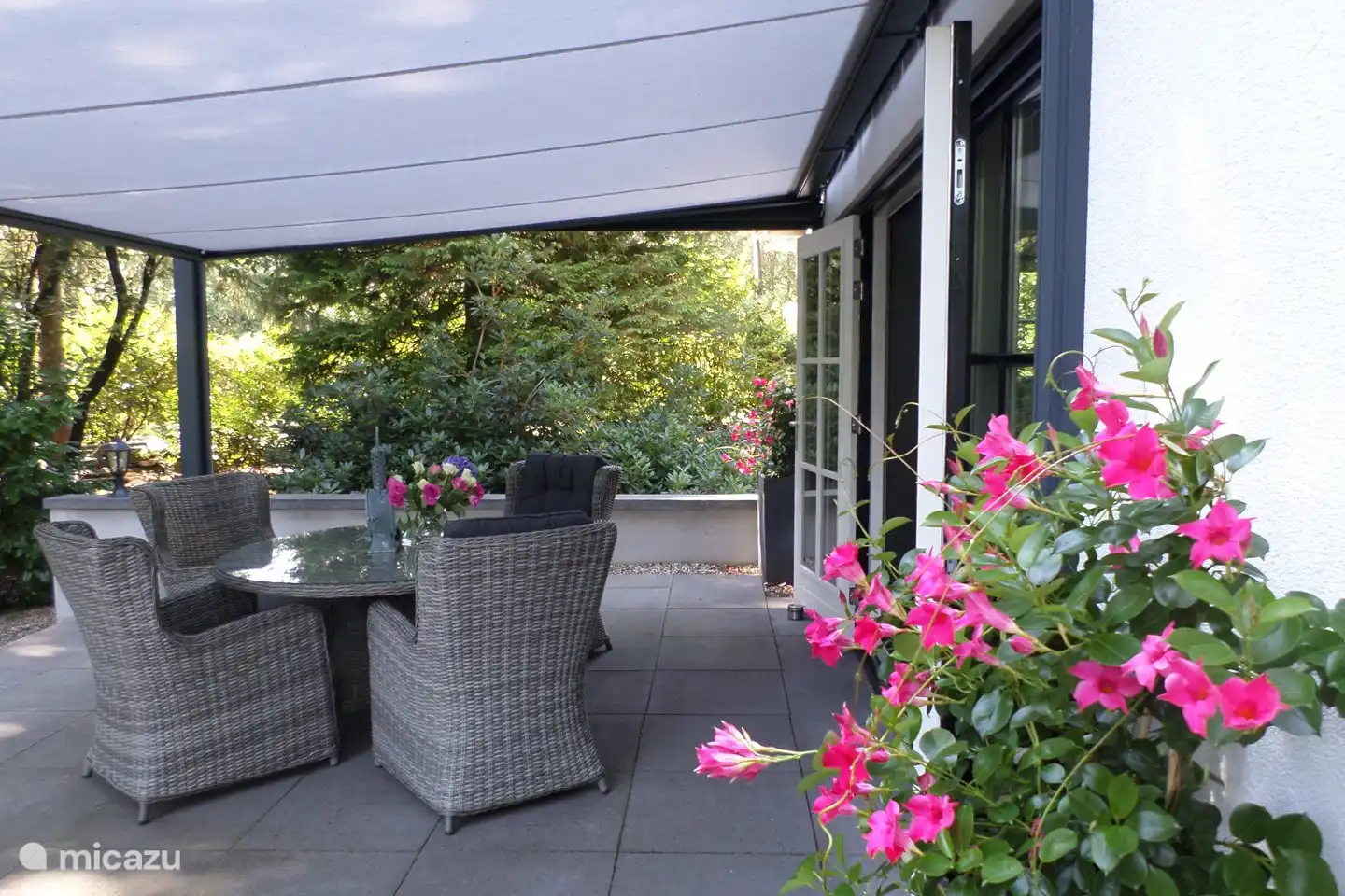 Gewoon even genieten in de bossen van Holten.